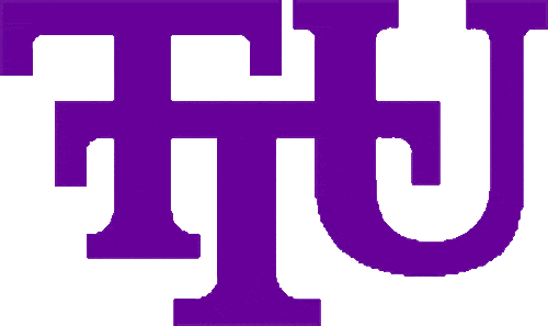 Tennessee Tech Golden Eagles 1997-2005 Primary Logo diy iron on heat transfer